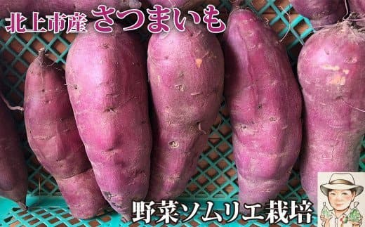 野菜ソムリエ齋藤セレクト「新」秋セット