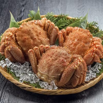 【さとふる限定】浜茹で毛ガニ×3杯[北海道近海産