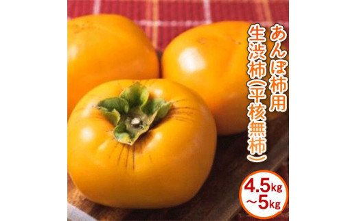 アンポ柿用生渋柿 4.5～5kg ふるさと農園