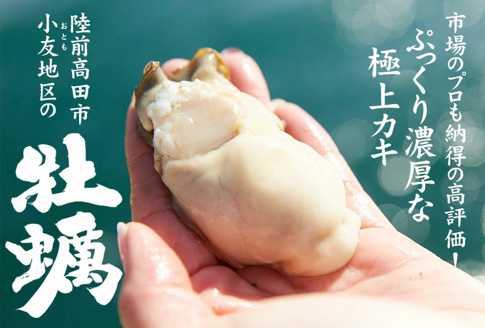 【ふるさと納税】牡蠣 生食 殻付き 15個 カキ