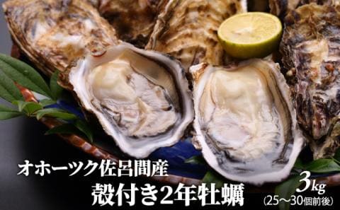 オホーツク佐呂間産 殻付き2年牡蠣3kg（25～