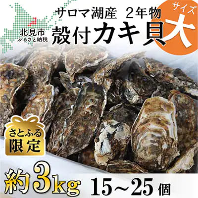 【さとふる限定】サロマ湖産殻付き2年牡蠣　大　約