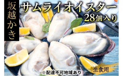 牡蠣 生食 坂越かき 殻付き28個(牡蠣ナイフ・