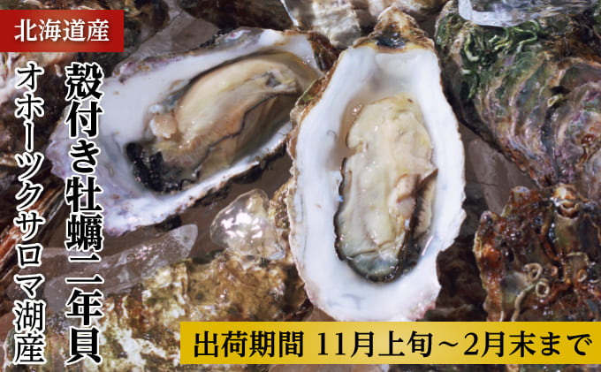 オホーツクサロマ産カキ約3kg（30個前後）2年