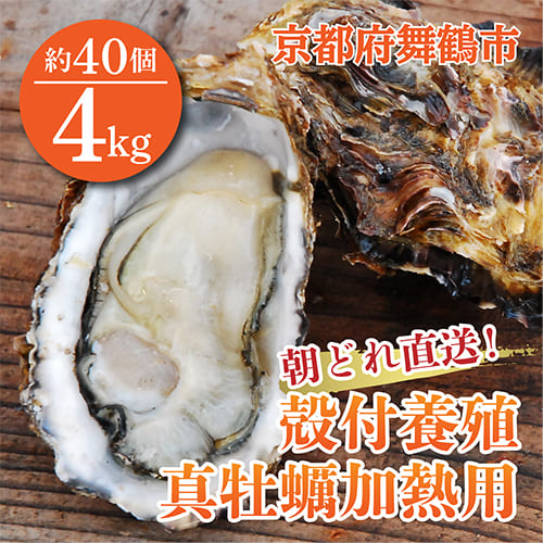 【朝どれ直送】殻付養殖真牡蠣 4kg 加熱用 先