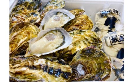 牡蠣 坂越かき 剥き牡蠣 300g×2、殻付き牡