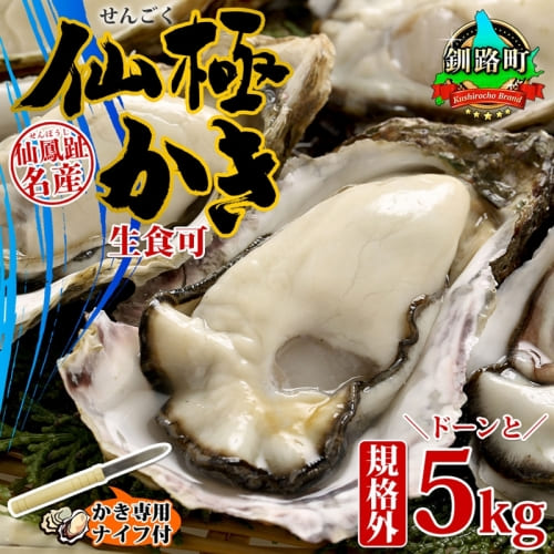 殻付き牡蠣 仙極かき 規格外 5kg 生食用 か