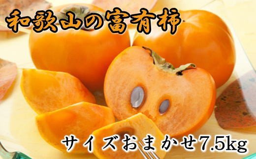 甘柿の王様 和歌山産富有柿約7.5kg