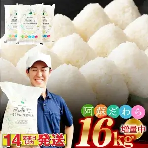 訳あり 阿蘇だわら 合計16kg