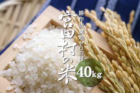 【令和4年米】減農薬栽培コシヒカリ(40kg)