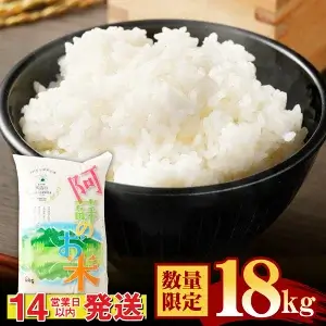 訳あり 数量限定6kg増量 阿蘇のお米 合計16kg
