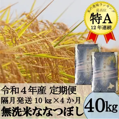 令和5年産 無洗米ななつぼし定期便40kg(隔月