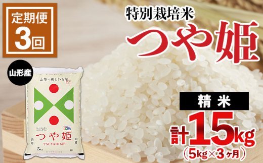 【定期便3回】山形産 特別栽培米 つや姫 5kg