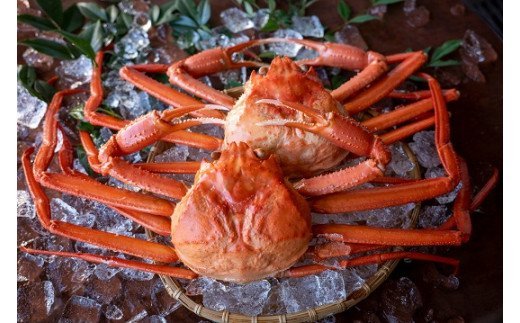 ボイル紅ズワイガニ【(有)カネツル砂子商店】※令和３年10月～発送予定