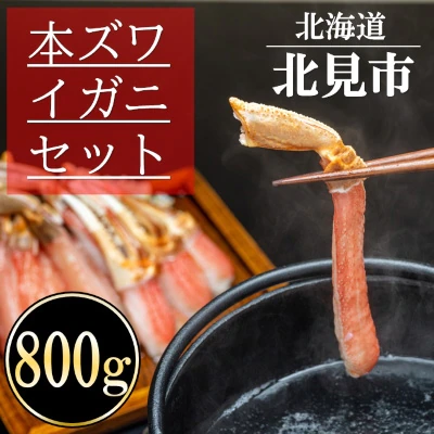 北見市加工　生冷本ズワイガニセット(800g・昆布同梱)