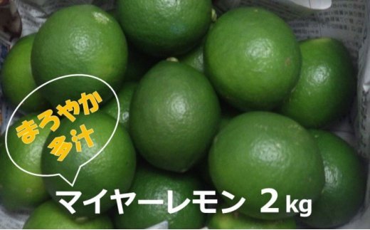 マイヤーレモン （島レモン）約2kg