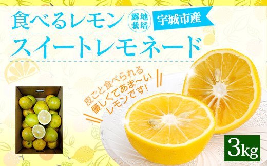 食べるレモン スイートレモネード 約3kg 吉田