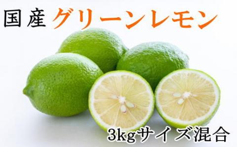 【産直】和歌山産グリーンレモン約3kg（サイズ混