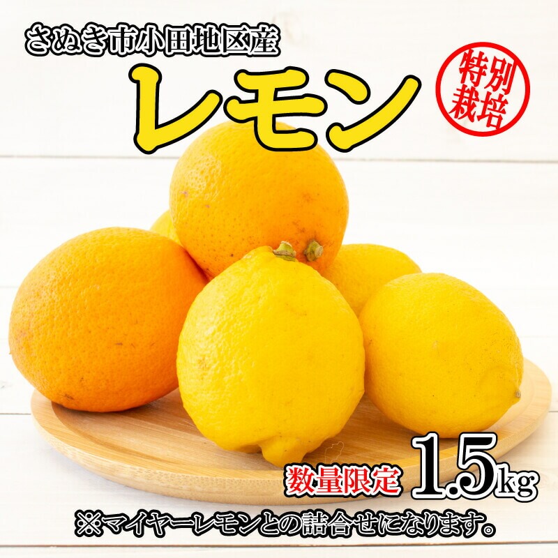 レモン 国産 檸檬 無農薬レモン マイヤーレモン