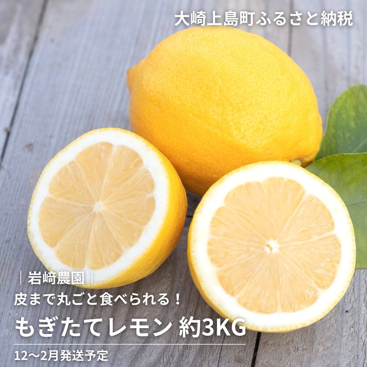岩崎農園 もぎたてレモン 約3kg ワックス防腐