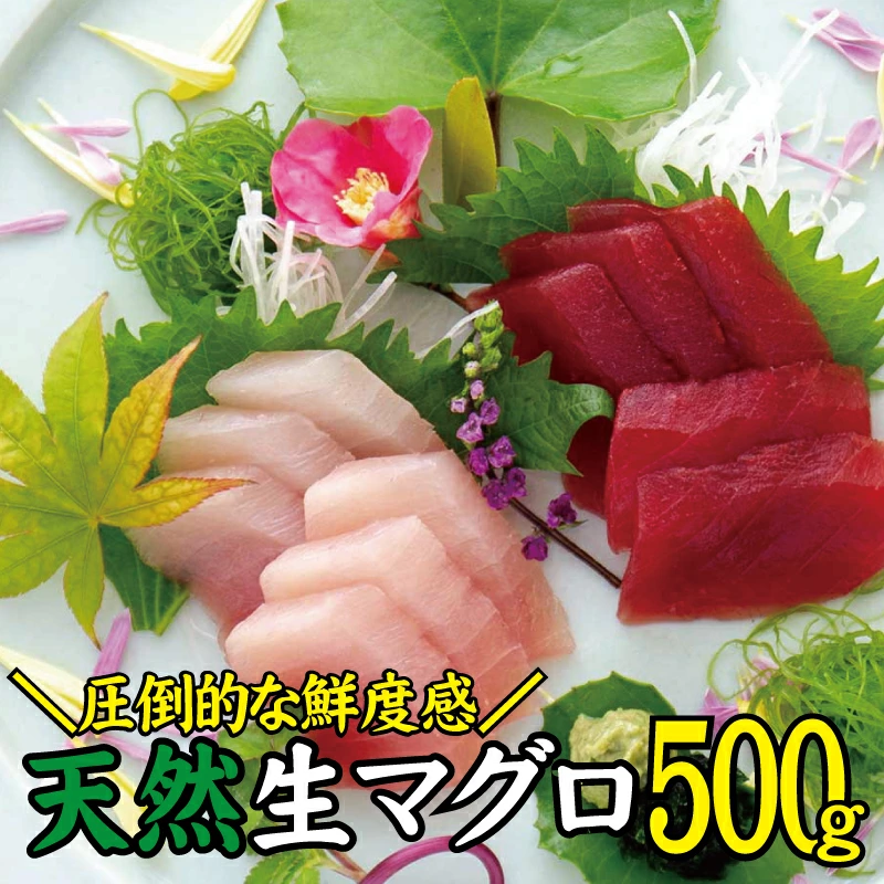 天然 キハダ生まぐろ 500g 鮮度抜群の生まぐ