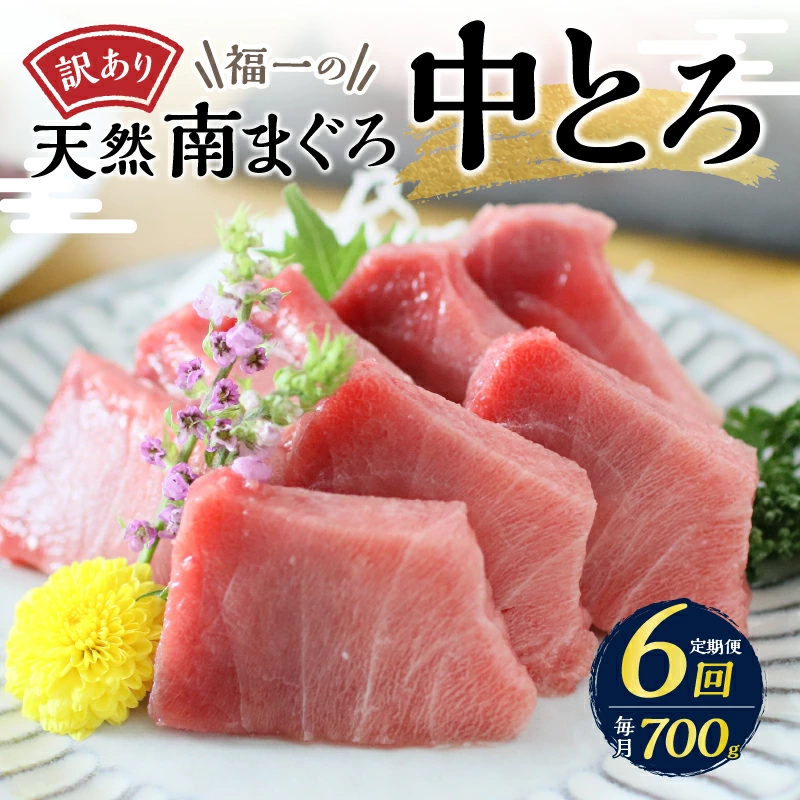 南鮪・刺身・中トロ(約700g)