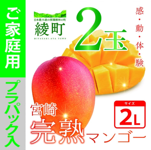 宮崎完熟マンゴー2玉（700g以上）【先行受付】