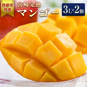 宮崎完熟マンゴー3Lサイズ×２個【数量限定】【先行予約】「産地直送」