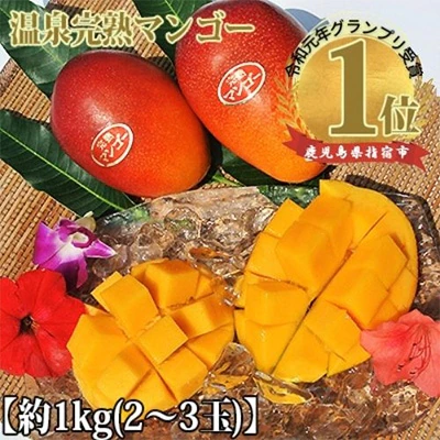 【先行受付】鹿児島県産 温泉完熟マンゴー約1kg
