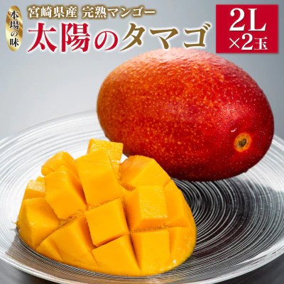宮崎県産完熟マンゴー「太陽のタマゴ」2Lサイズ×