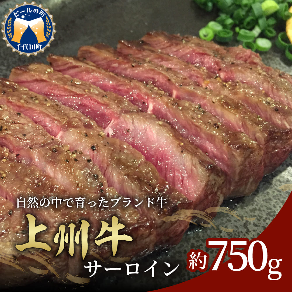 牛肉 ステーキ サーロイン 【上州牛】 750g