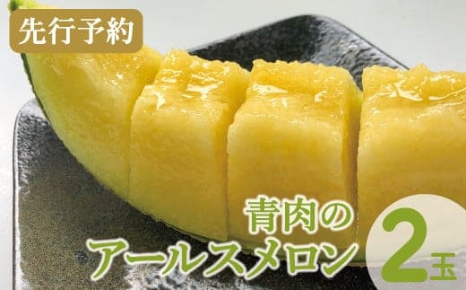 青肉アールスメロン 2玉入（2022年7月より発送）【先行予約】