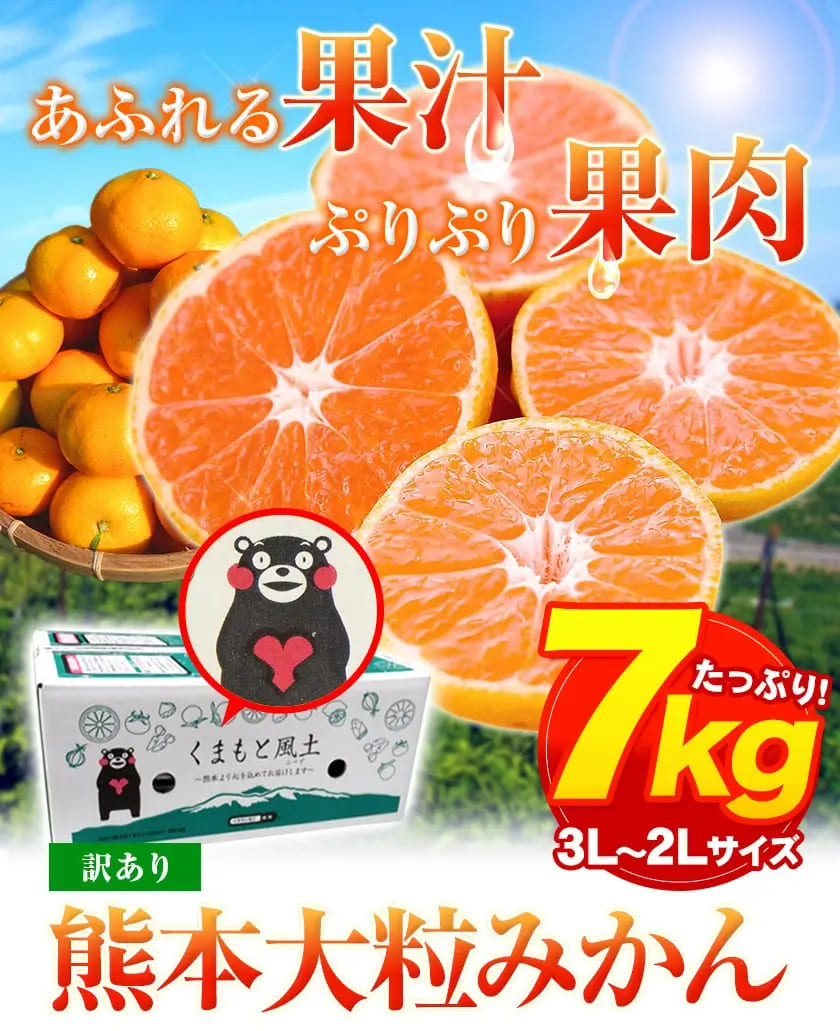【ふるさと納税】みかん 訳あり 大玉 ミカン 10kg 10キロ 熊本 ちょっと 訳あり 傷 5L〜3Lサイズ 約10kg たっぷり 熊本県産 熊本県 期間限定 フルーツ 10000 g 旬 柑橘 ご家庭用 長洲町《7-14営業日以内に順次出荷》