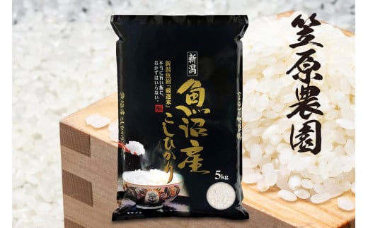 【令和３年産】南魚沼産コシヒカリ（無洗米）【５k