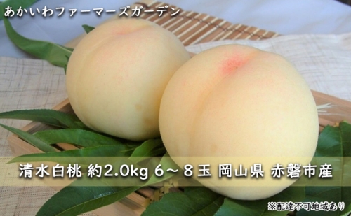 赤磐市産 清水 白桃 約2.0kg 6～8玉