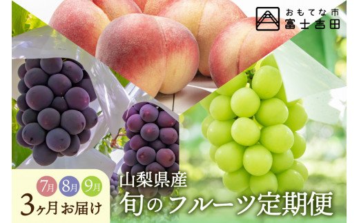 【3か月定期便】山梨県産 旬のフルーツセット(桃