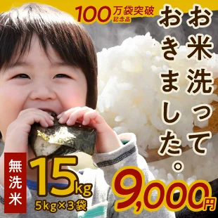 お米 無洗米 15kg ( 5kg × 3袋 )