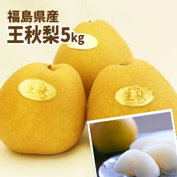王秋梨 福島県 かやば梨 ジャンボ梨 約5kg箱 7〜12玉入 【発送期間:12月中旬頃〜3月中旬頃まで予定】