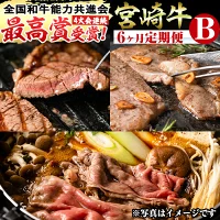 【定期便・全6回(連続)】宮崎牛定期便<Bセット