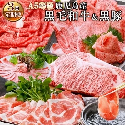 定期便 鹿児島産A5等級黒毛和牛&黒豚(3回配送