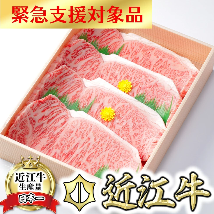 【6月末までに発送】【緊急支援対象品】極上近江牛
