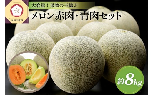 【2022年先行予約】※選べる 配送時期※【秀～優品】津軽平野のメロン 8kg程度(赤肉・青肉セット) (4～8玉)【青森メロン】