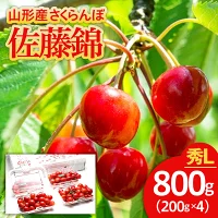 【令和4年産先行予約】さくらんぼ 佐藤錦 秀L 800g(200g×4パック)