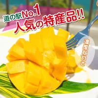 ≪期間・数量限定≫日南産完熟マンゴー(2L×2玉)フルーツ 果物