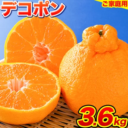 楽天ふるさと納税限定 みかん 好き必見 デコポン 生産量日本一 熊本 県産 約 4kg (約10-20玉前後) 柑橘 個別光センサー選果 柑橘 フルーツ 旬 不知火 でこぽん 大玉で満足 《2022年2月中旬-4月中旬頃より順次出荷》