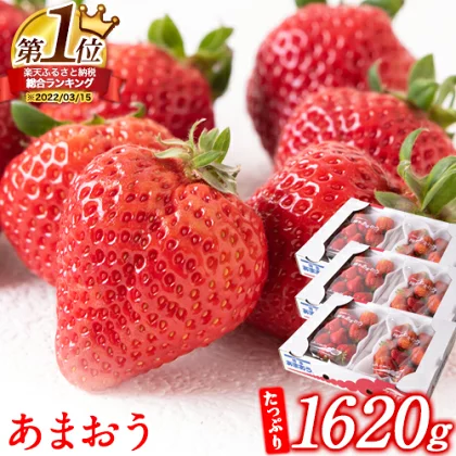 楽天ふるさと納税限定 あまおう いちご 1620g 先行予約(約270g×6パック) 送料無料《令和4年3月末-5月上旬頃より順次出荷》ふるさと納税いちご 福岡県 鞍手郡 鞍手町