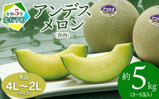 【令和４年分先行予約】アンデスメロン(3玉～5玉)　秀品4L～2L