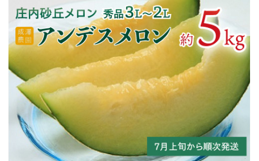 成澤農園 鶴岡産庄内砂丘メロン 秀逸品 アンデス（４～５玉）