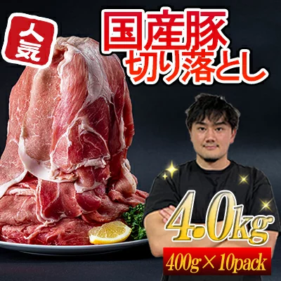  福岡 ブランド 直送 ふくよか豚切り落とし4,000g 送料込（R4）