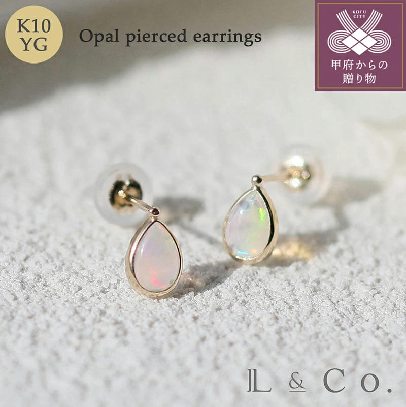 【ふるさと納税】 年内発送 ピアス レディース 